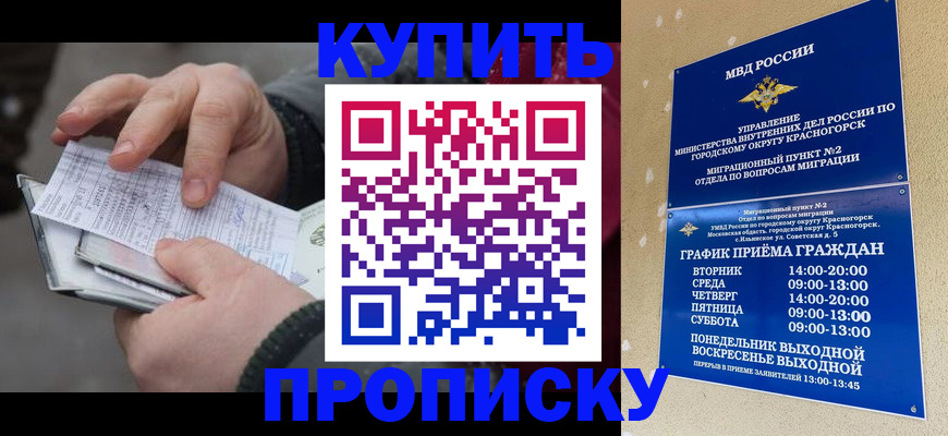 временная регистрация недорого в Жердевке